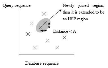 Fig. 3 The positions of the exact matches. Neighbor HSP.jpg