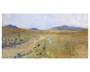 Paisaje de Arizona (1896-1898)