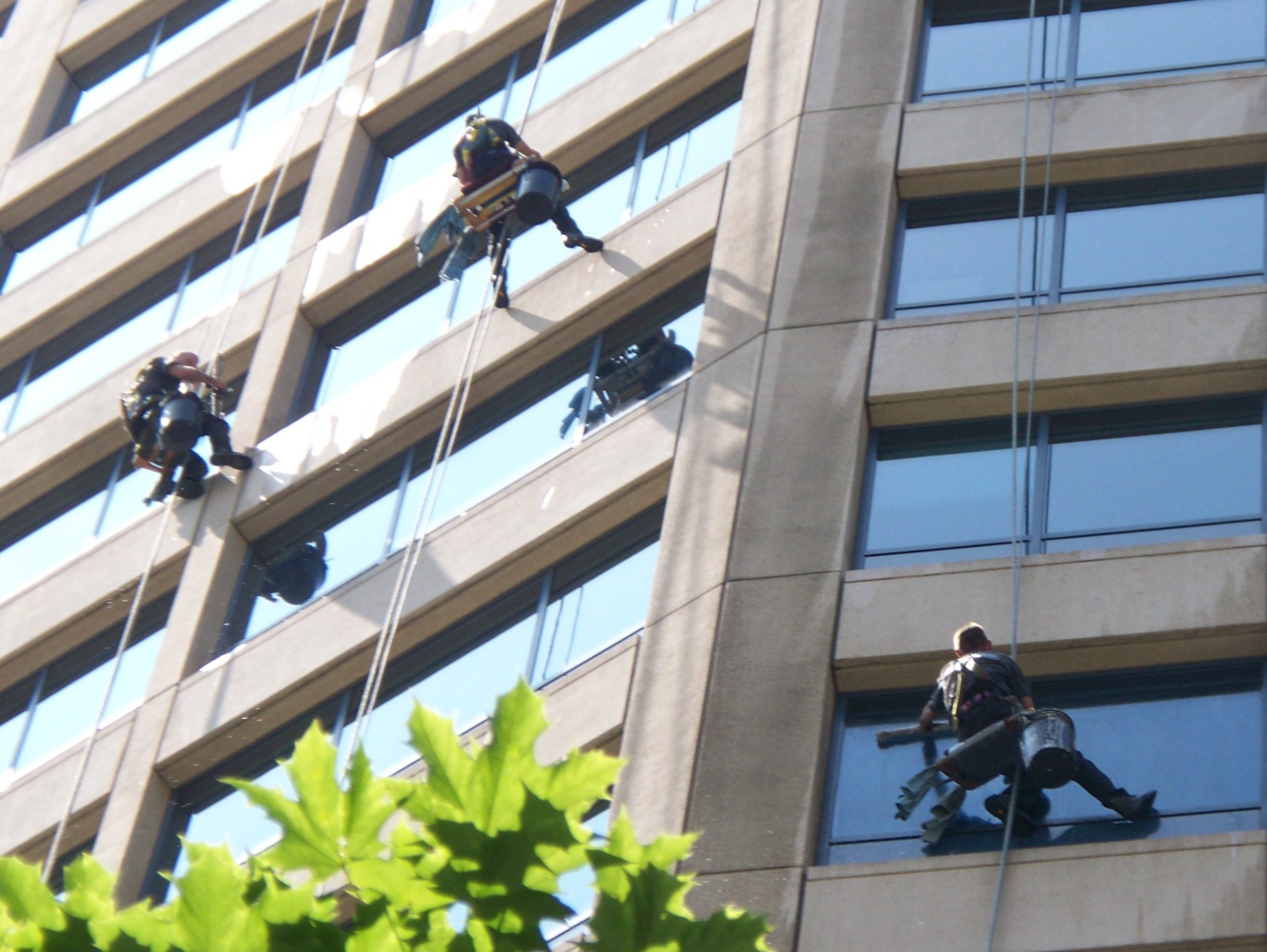 3 Window Washers - Cleaning the Westlake Center Office Tower