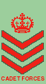 Rank slide of an NZCC CDT SSGT