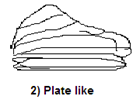Plate like Structure.png