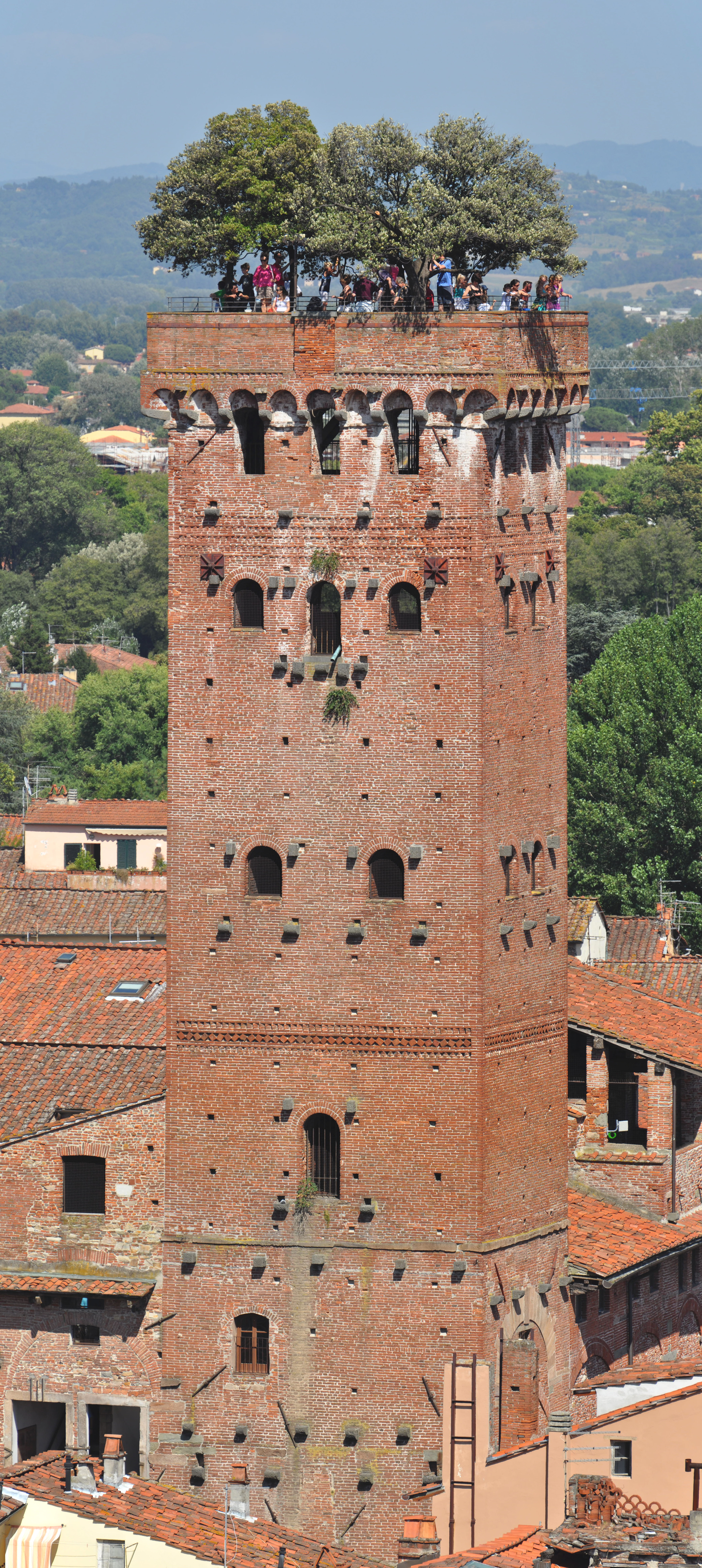 Torre Guinigi from Torre Torre dell'Orologio.jpg