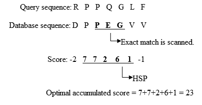 Fig. 2 The process to extend the exact match. Adapted from Biological Sequence Analysis I, Current Topics in Genome Analysis . Extension process.jpg