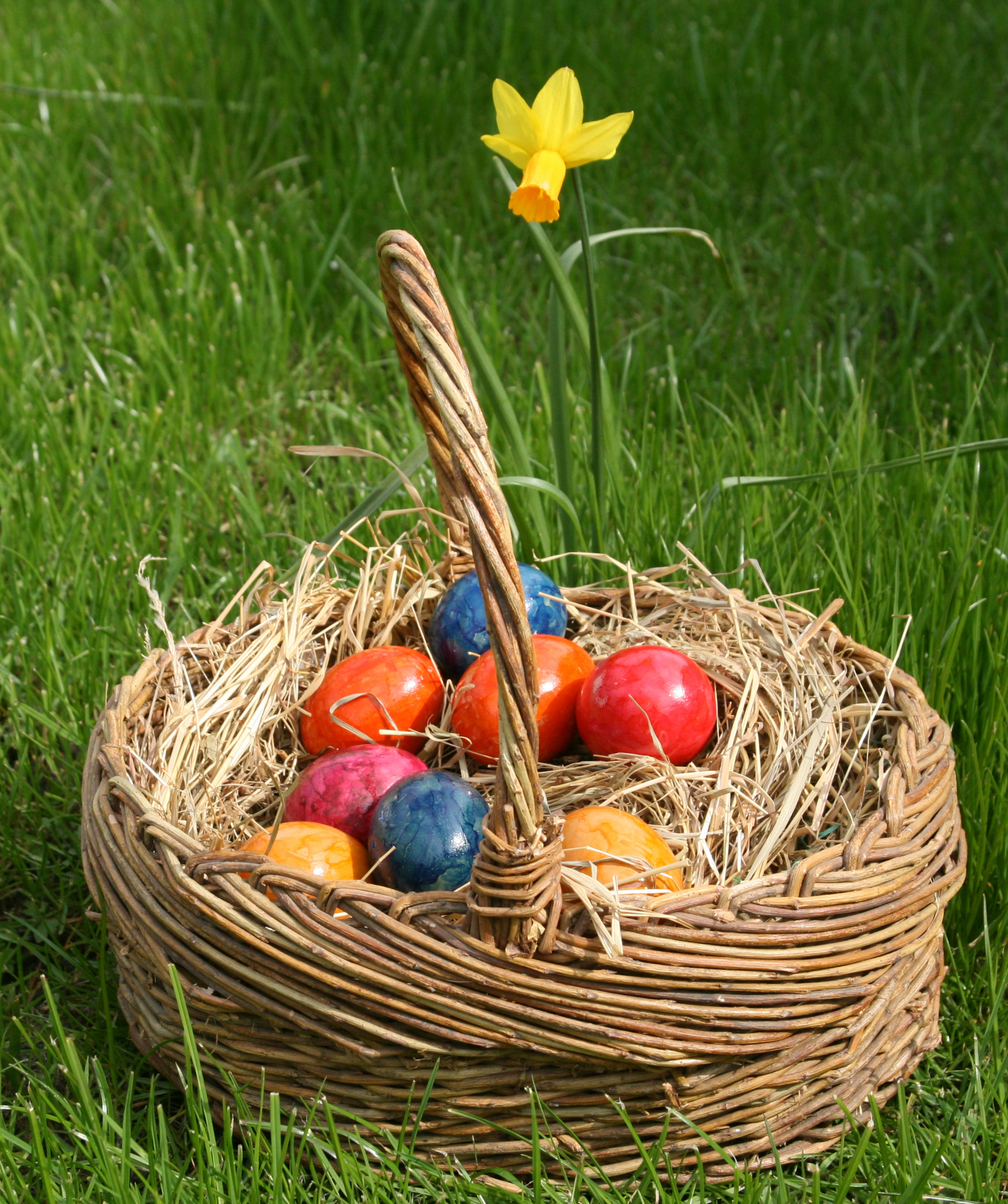 File:Eastereggs ostereier.jpg - Wikimedia Commons