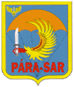 Para-sar.gif