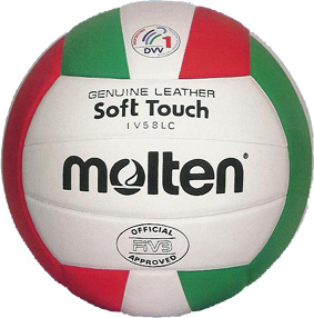 A Molten indoor volleyball