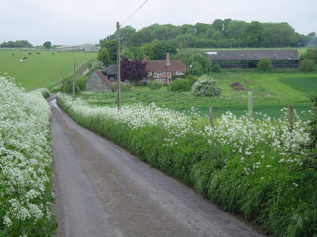 upton grey