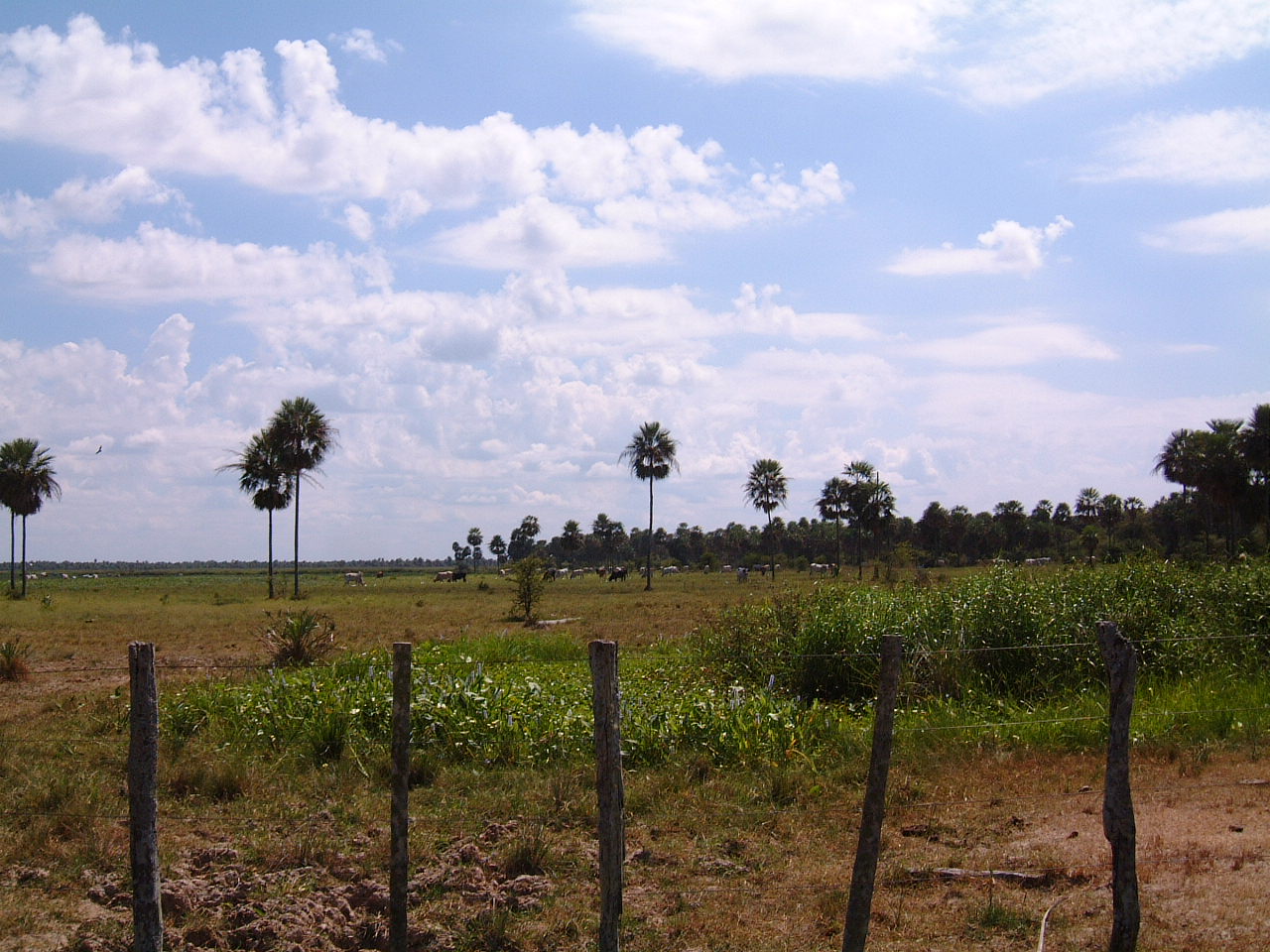 El Chaco Paraguay