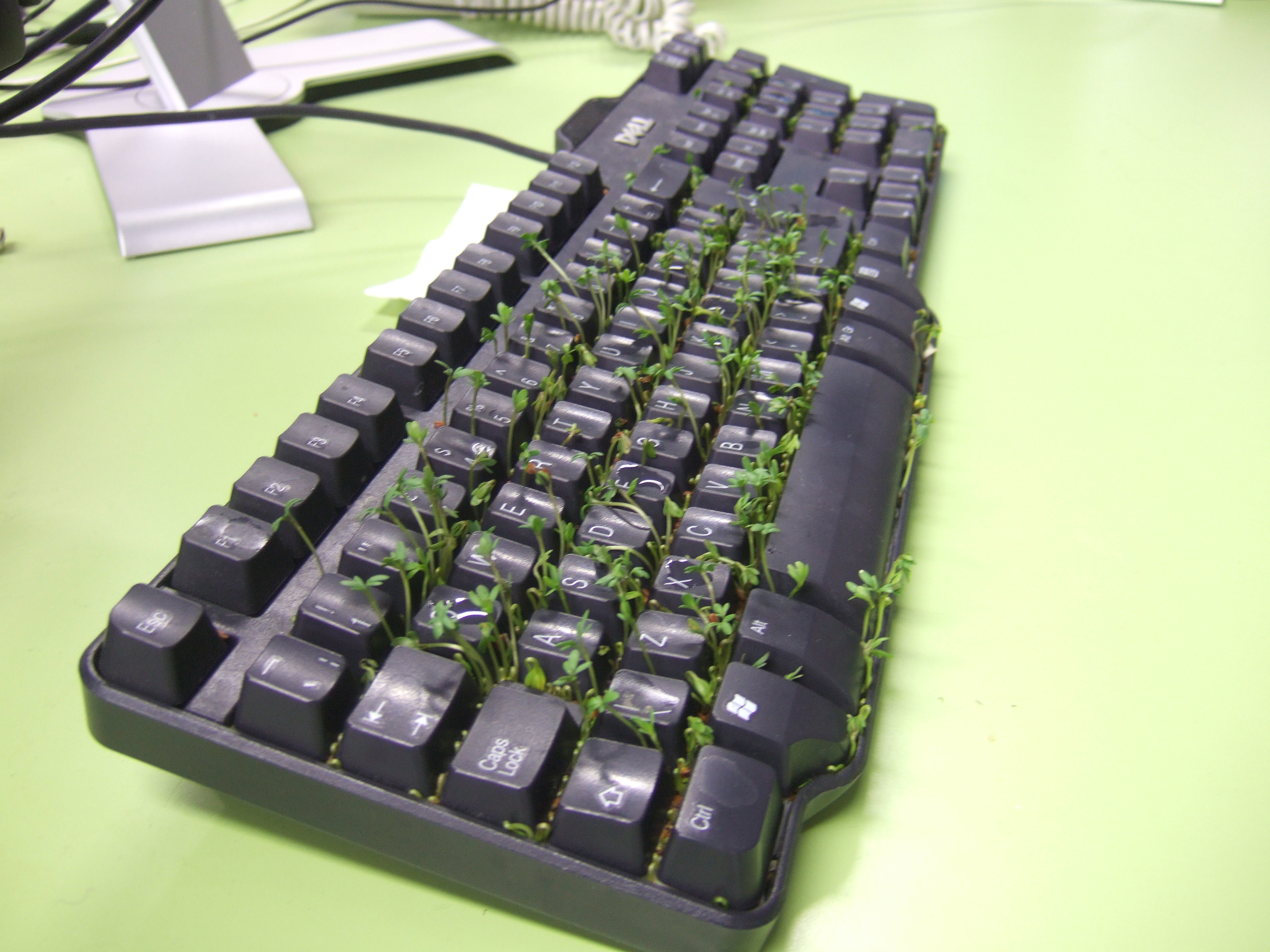 cress keyboard