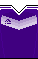 Kit body anderlecht1617h.png