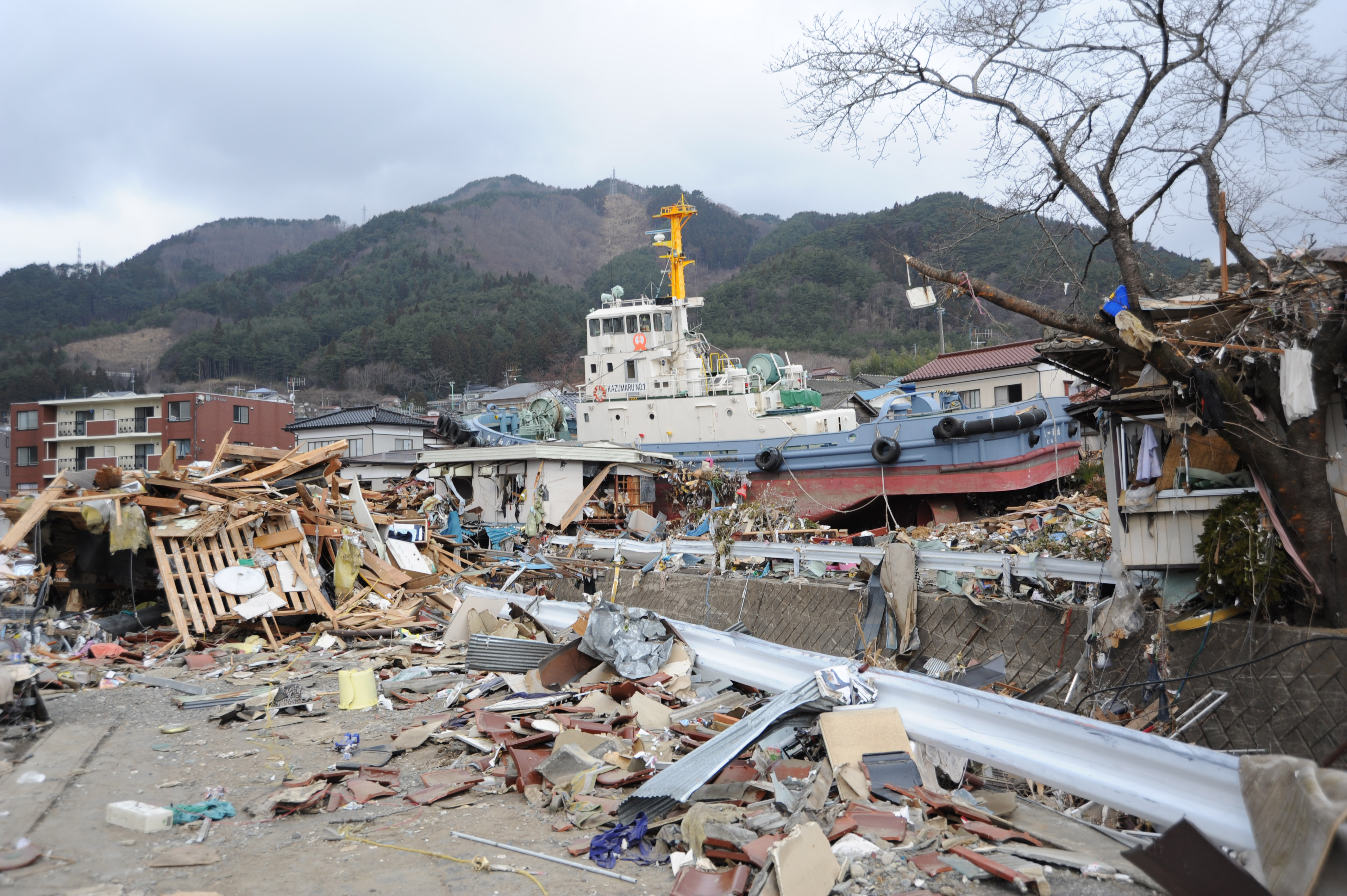 Essay on tsunami in japan 2011