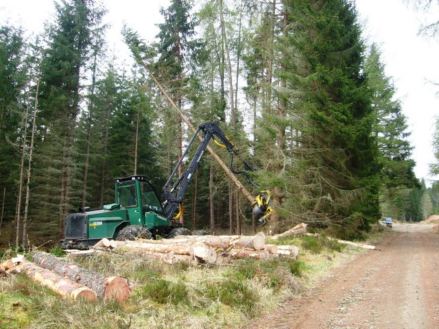 File:Dalreoch Wood, timber harvesting - geograph.org.uk - 856485.jpg