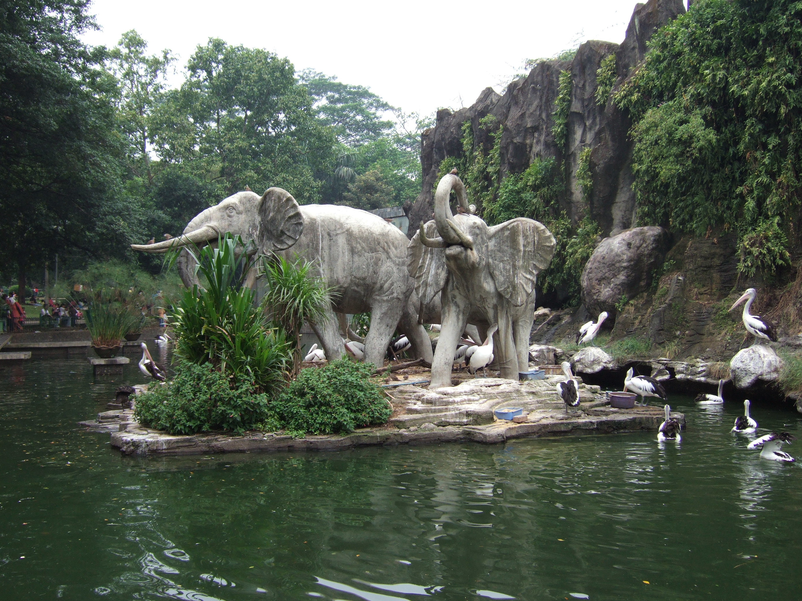 Pemandangand di  Kebun Raya Ragunan