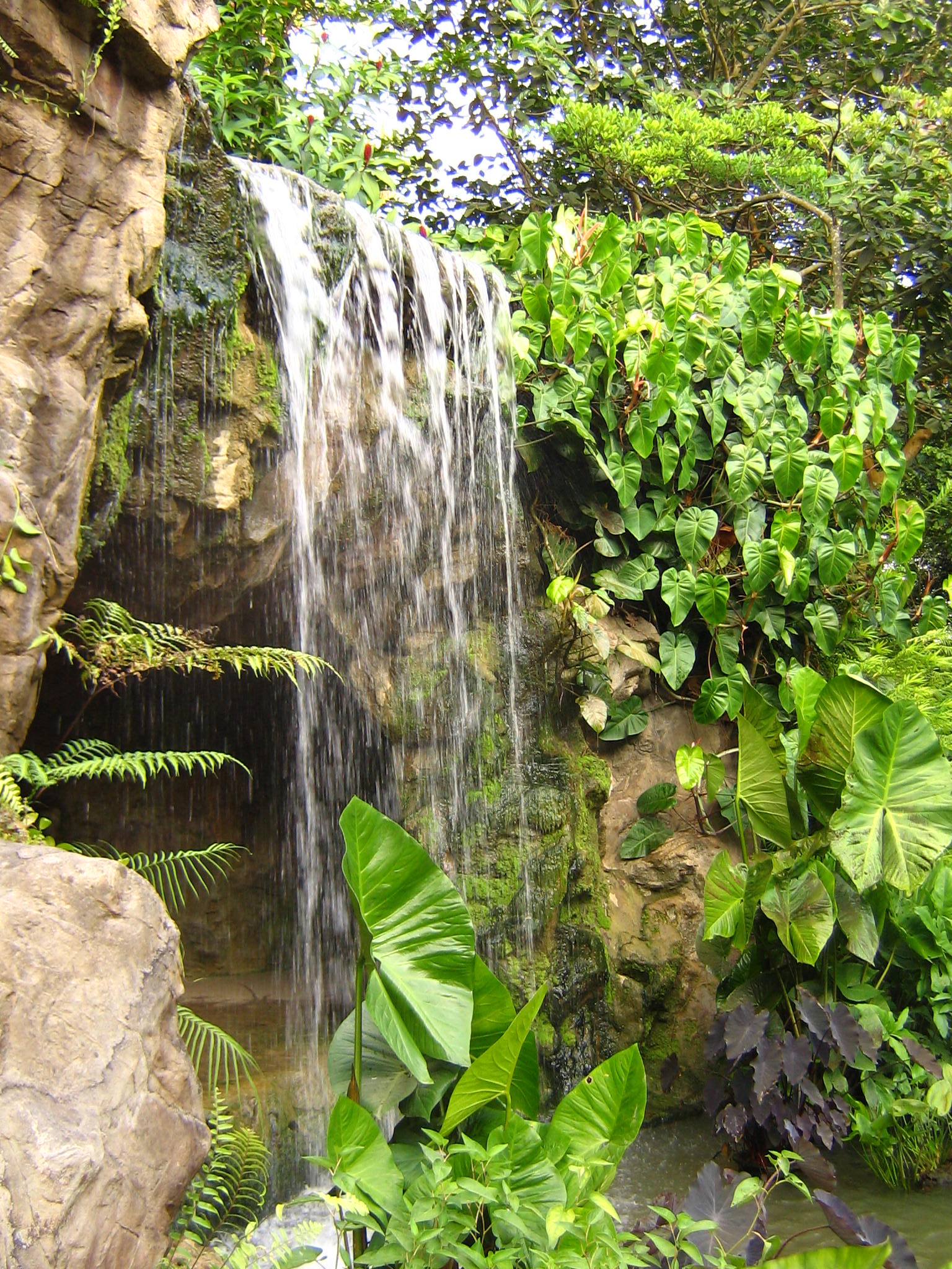 File:Singapore Botanic Gardens waterfall.jpg - Wikipedia, the free ...