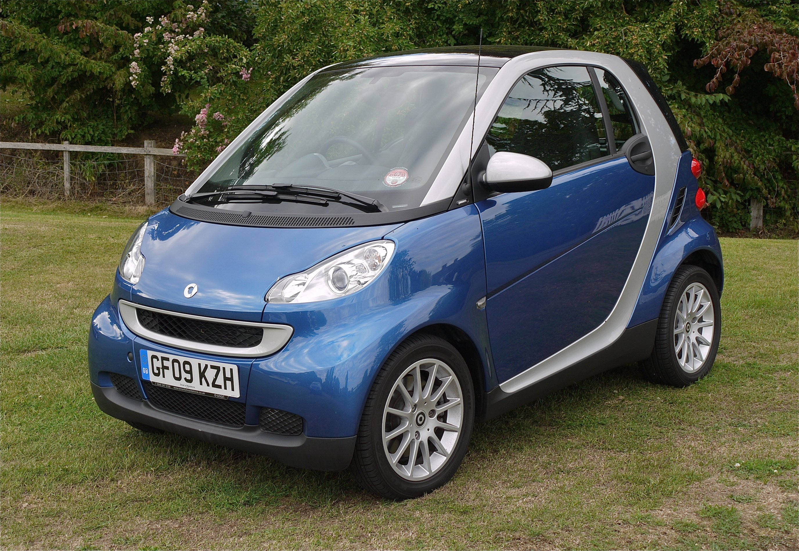 File:Smart Car, are they easy to park on the door handles 