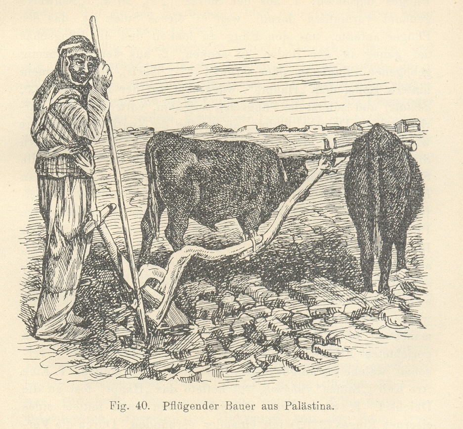 plough