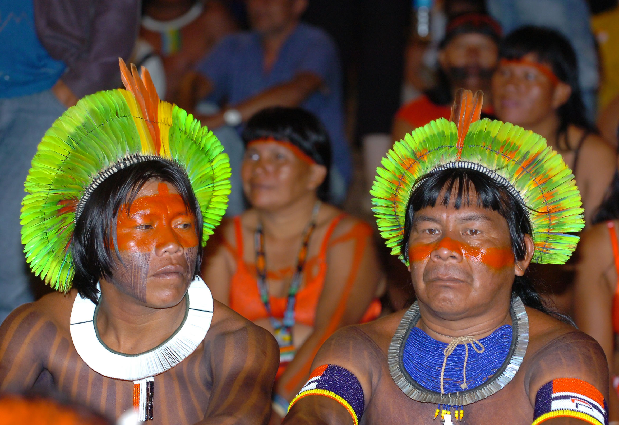 Indígenas de Brasil, 2007 (wikimedia.org)