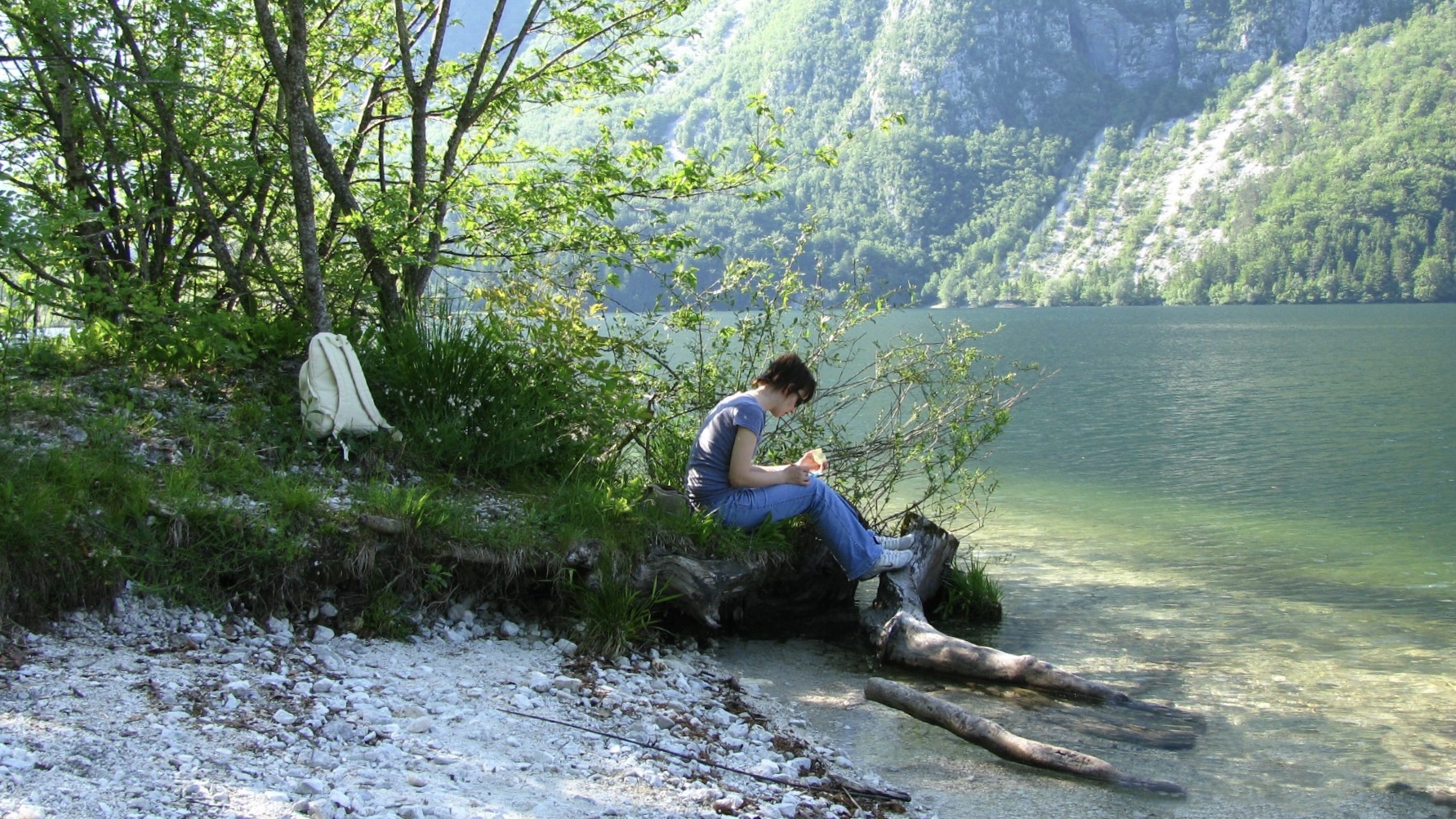 Bohinj Slovenia