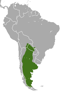 Pruun-harjasvöölase levila