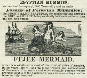 An advert for P.T. Barnum's "Feejee Mermaid" in 1842 shows 3 mermaids swimming in front a boat.