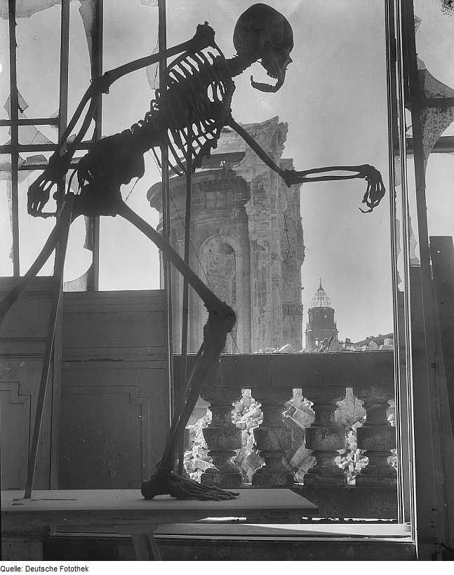 Skelett in einem Saal der Kunstakademie (mit Frauenkirchruine) nach dem 17. September 1945