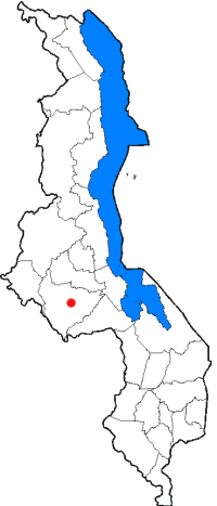 The districts of Malawi, with the capital Lilo...