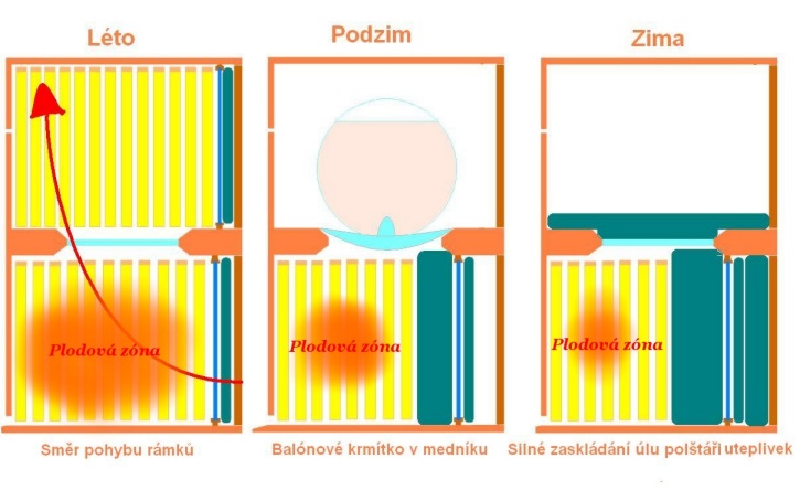 Nákres situace v úlu během roku