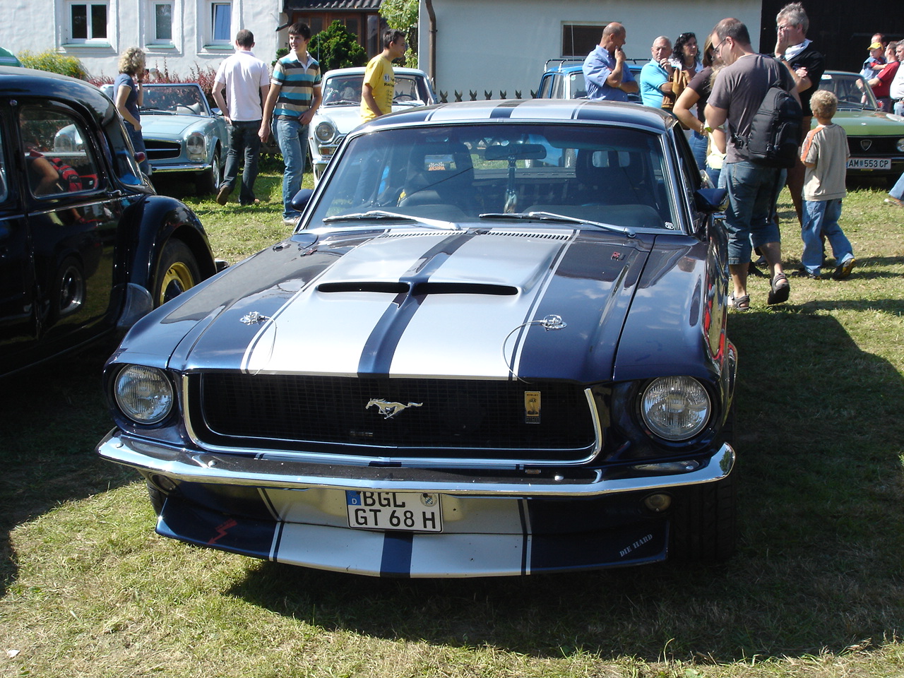 Ford_Mustang_Shelby_GT_500.jpg