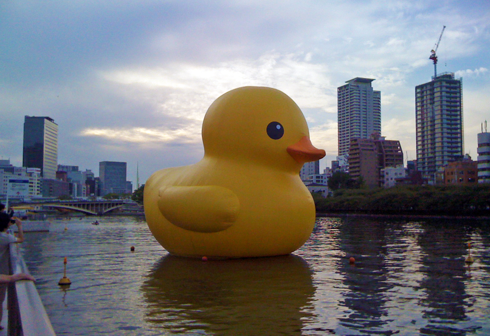 Giant_rubber_duck_1.jpg