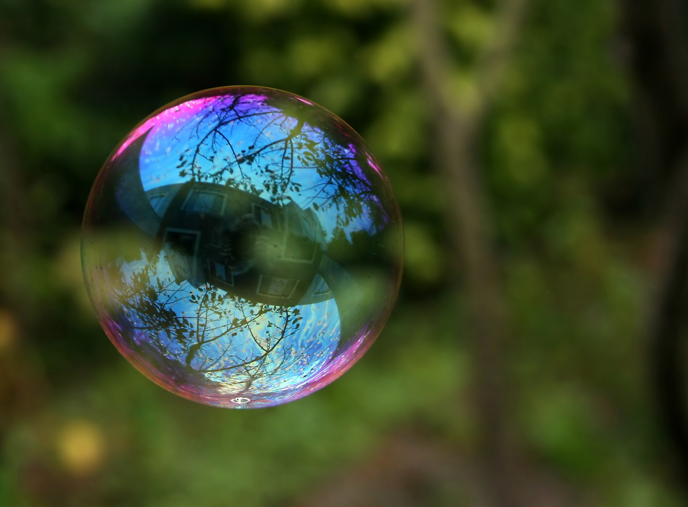 reflejo en un burbuja