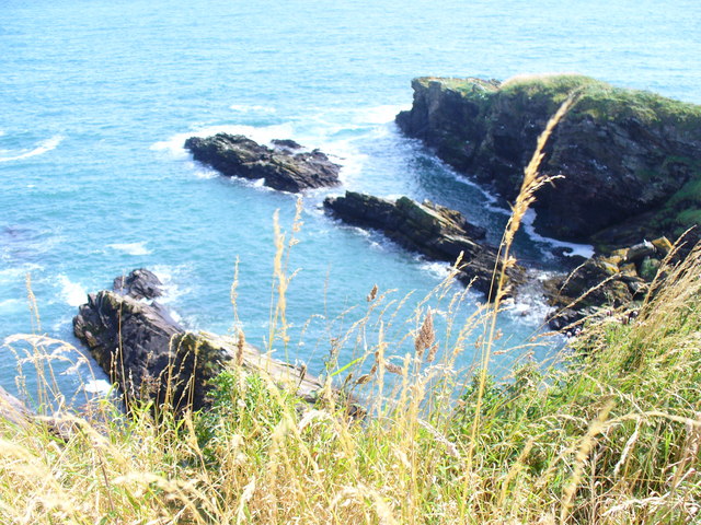 Coast_by_Findon_-_geograph.org.uk_-_1454611.jpg