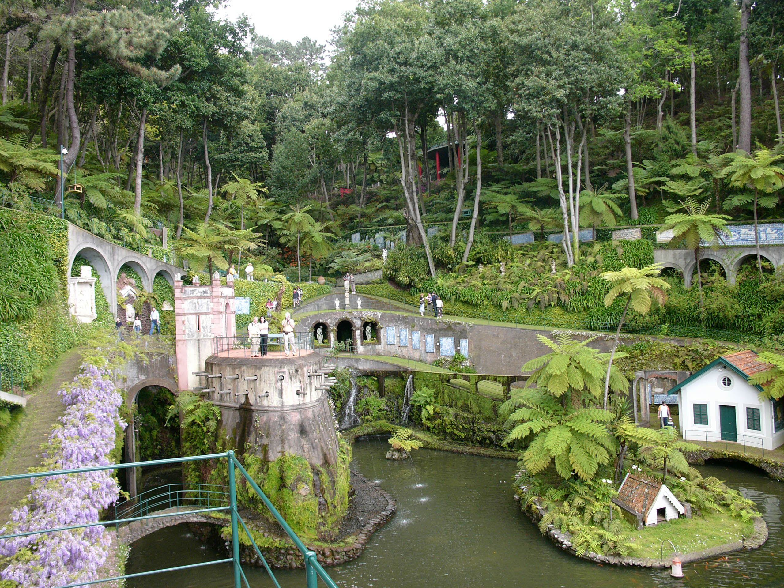 Tropical Garden