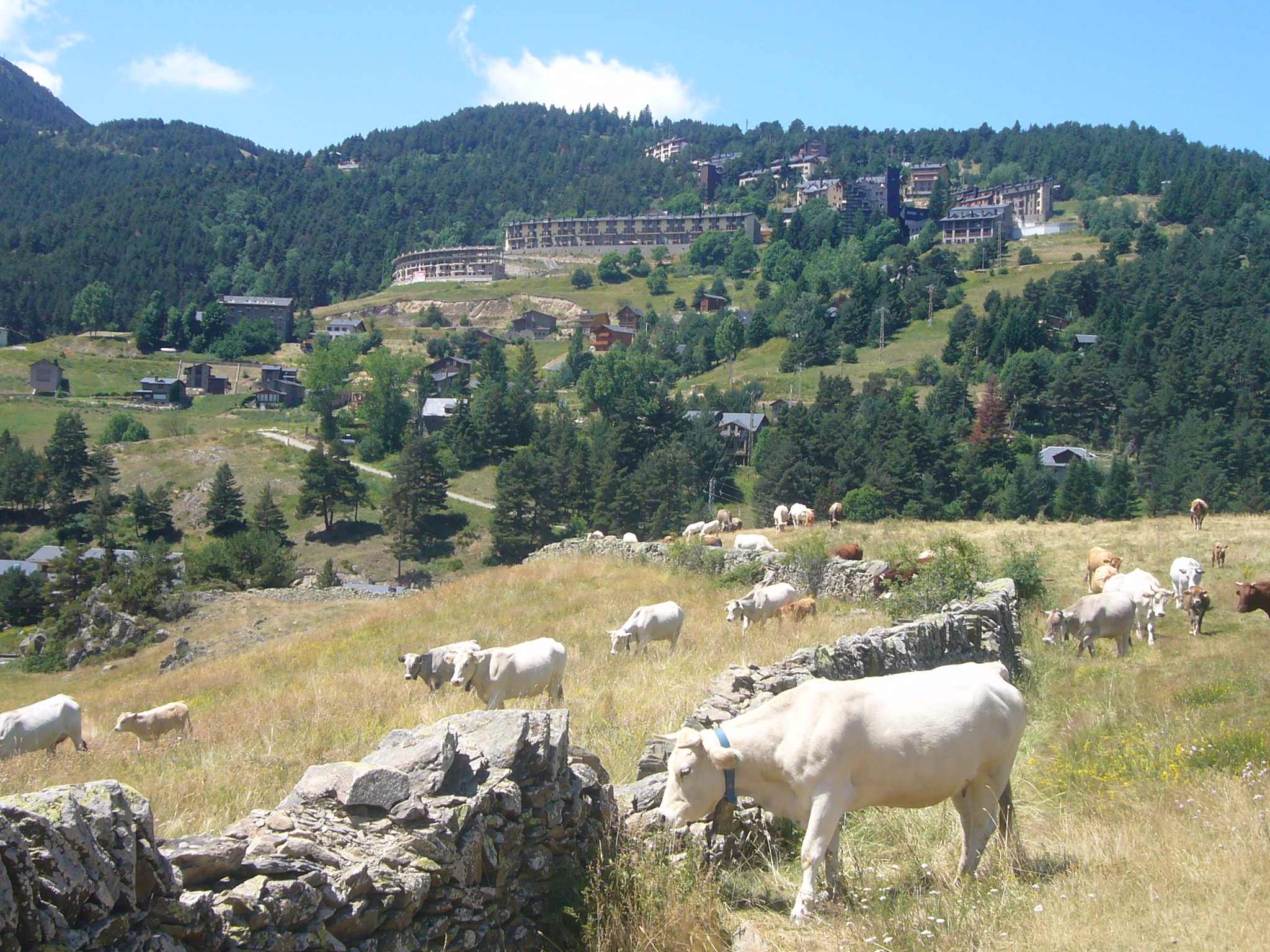 Alp De Alp