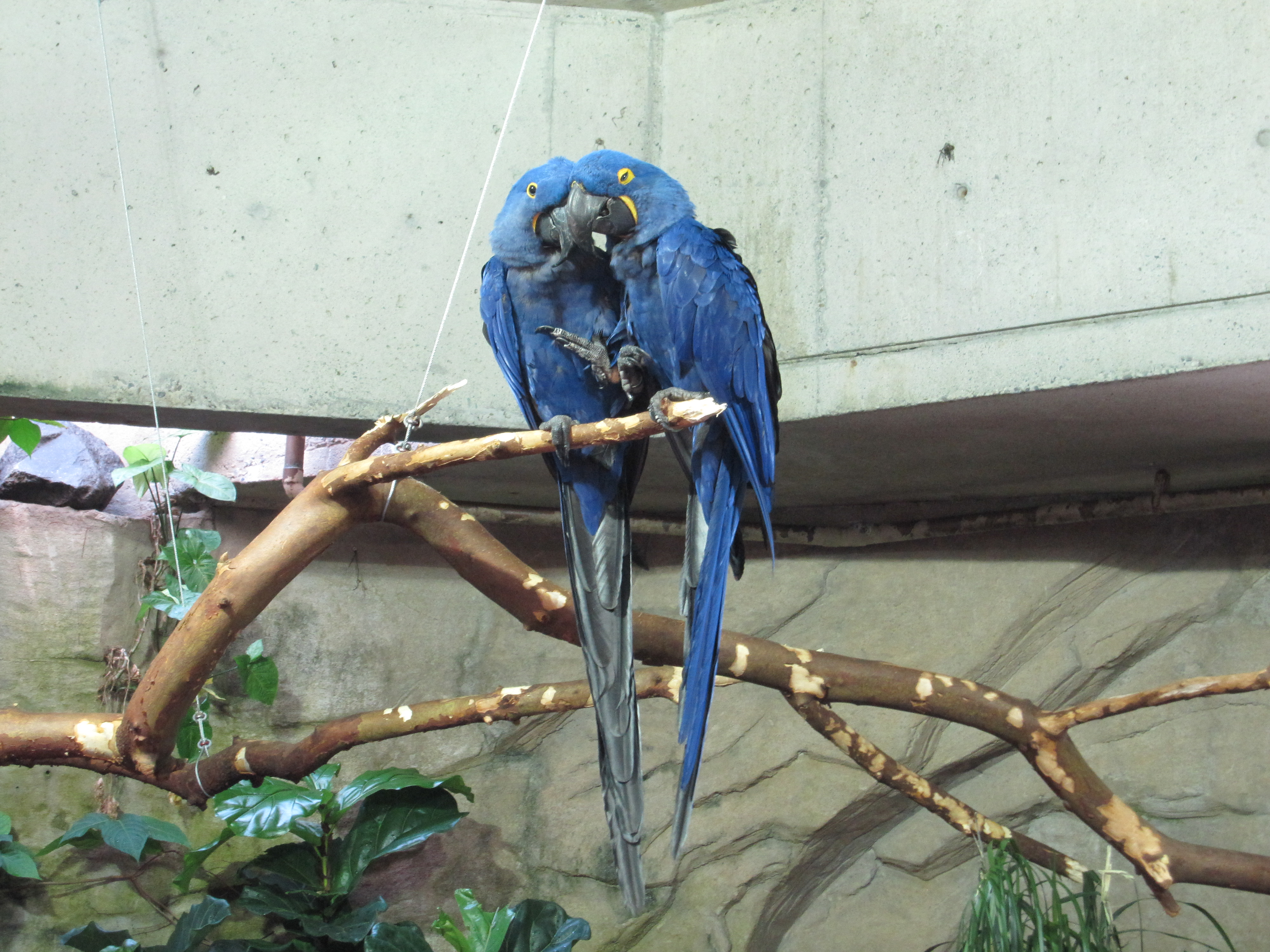 Vancouver Aquarium