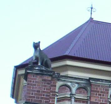 Roof Cat