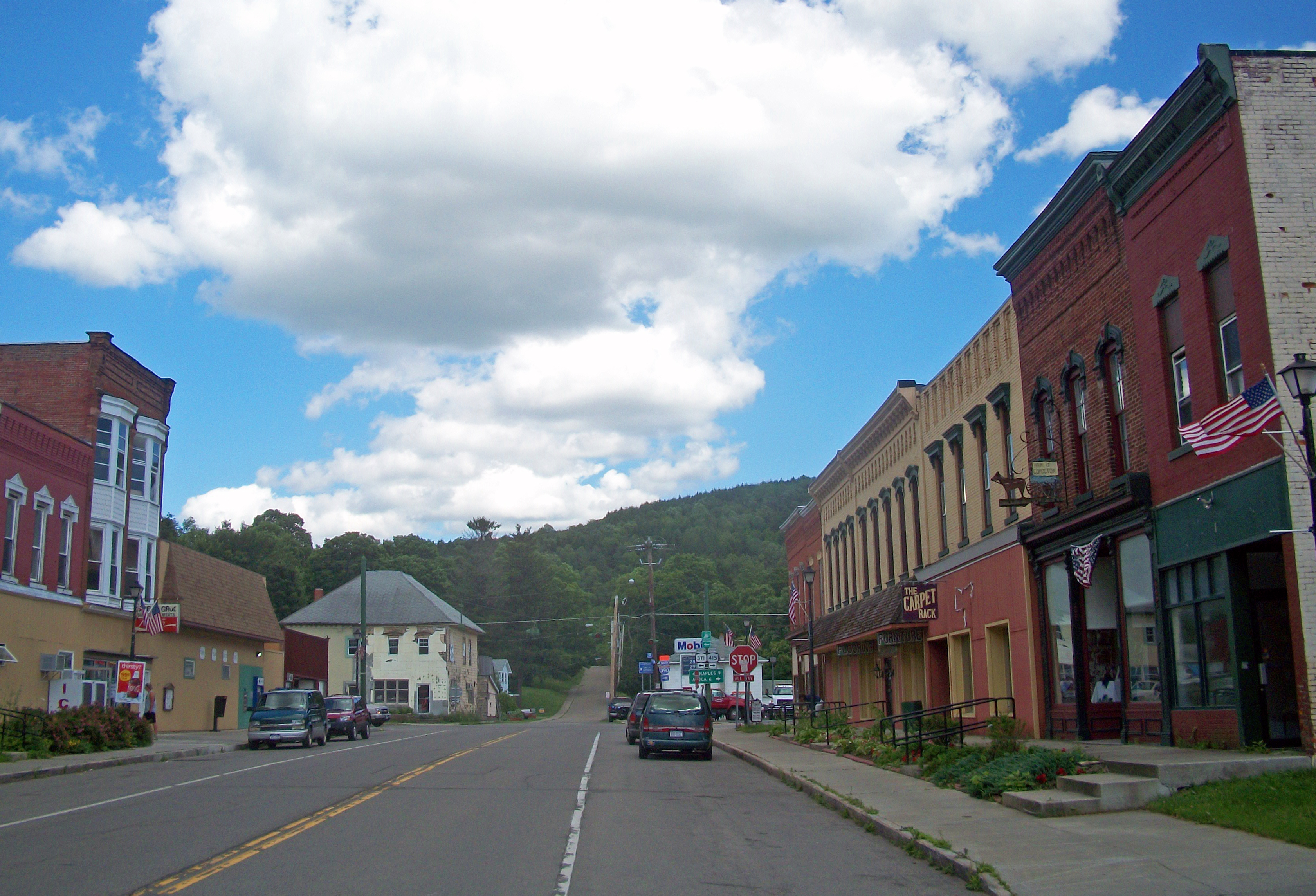 Cohocton Ny