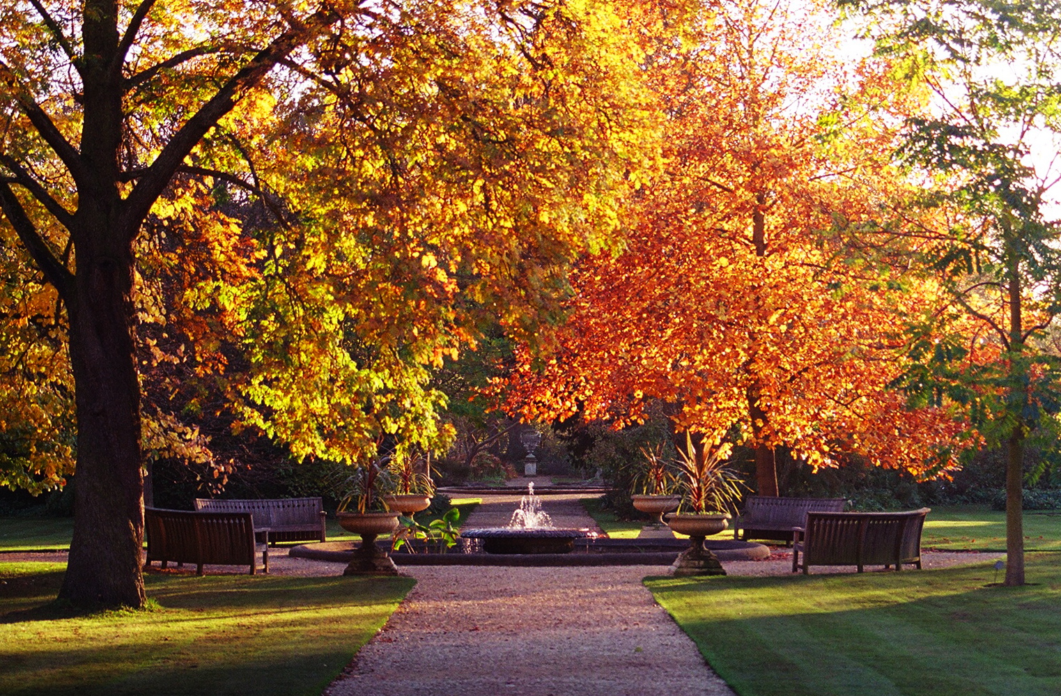 autumn garden