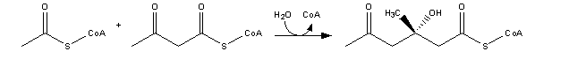 Resim:Cholesterol-Synthesis-Reaction1.png