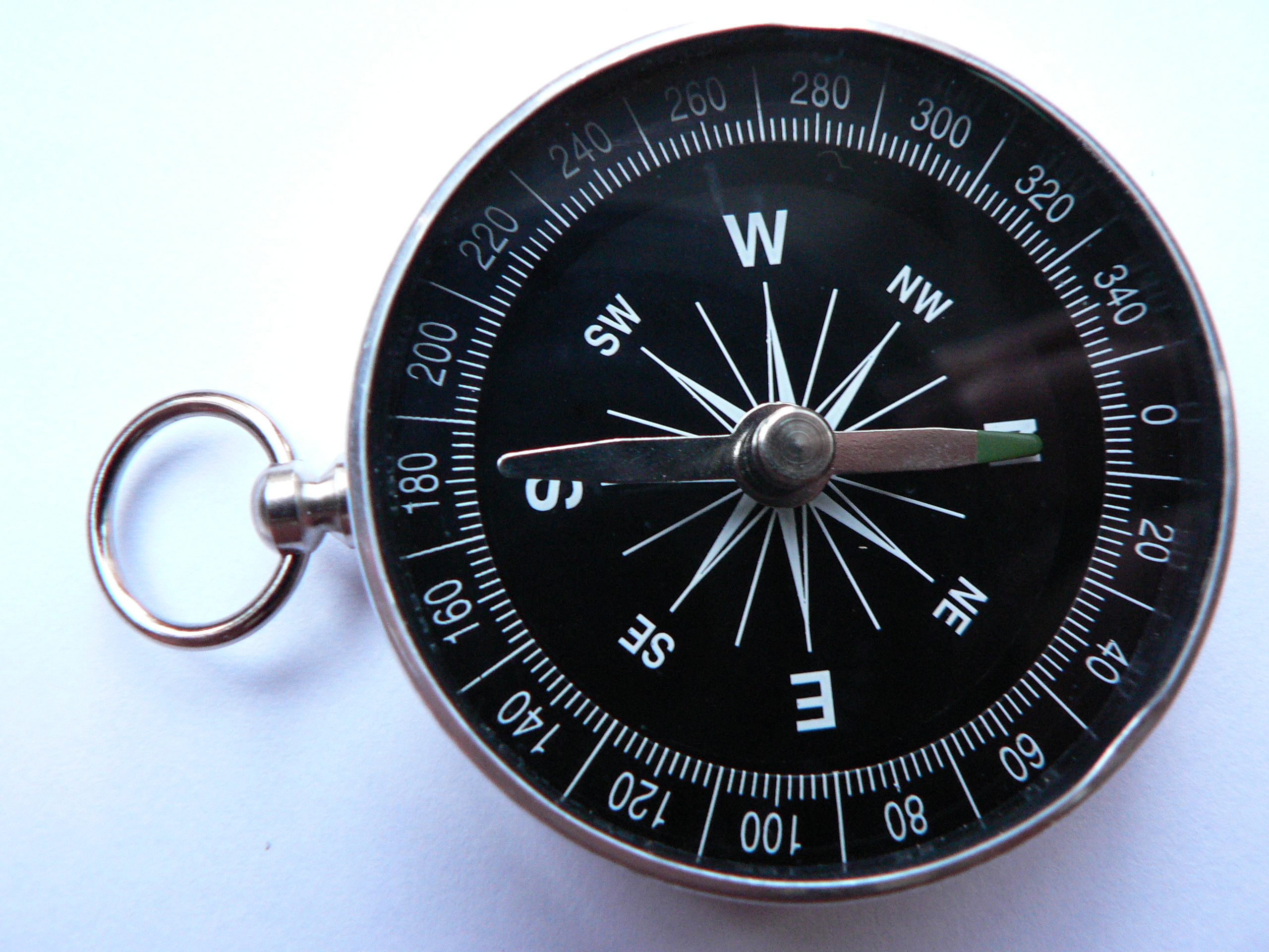 A simple dry magnetic pocket compass