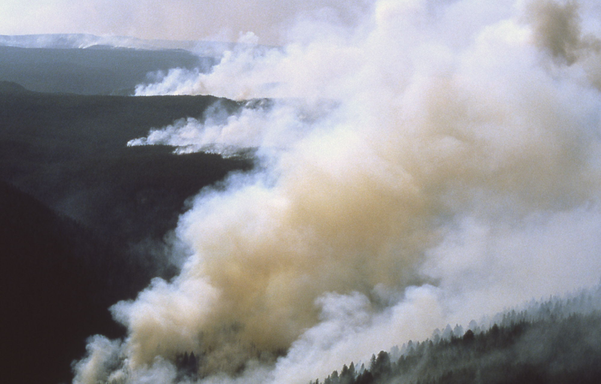 Smoke_billows_from_1988_Yellowstone_fires.jpg