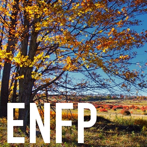 ENFP Personality