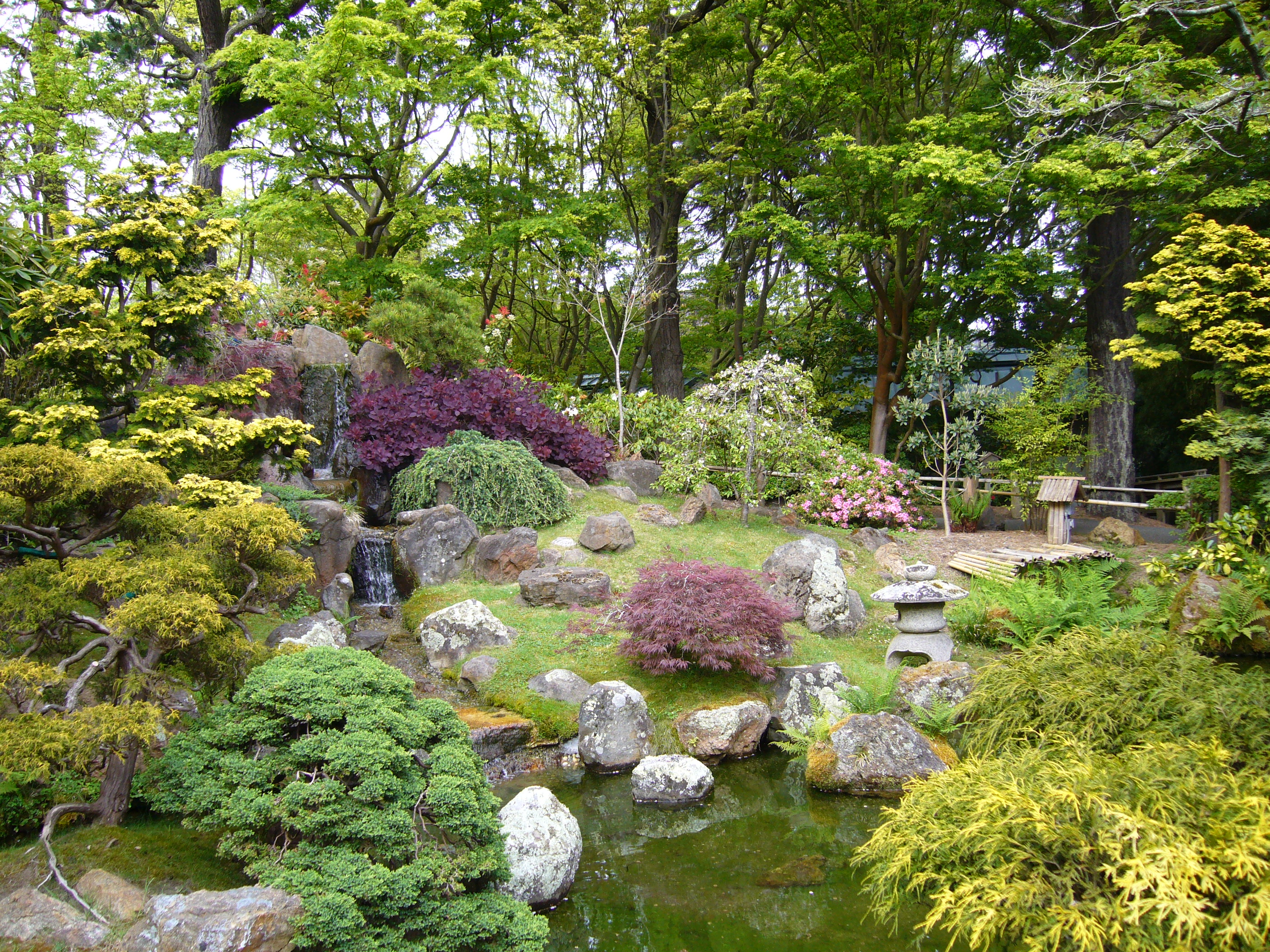 japanese gardens images
