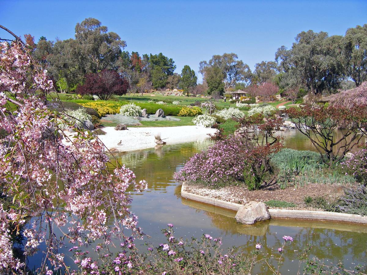 Japanese Spring