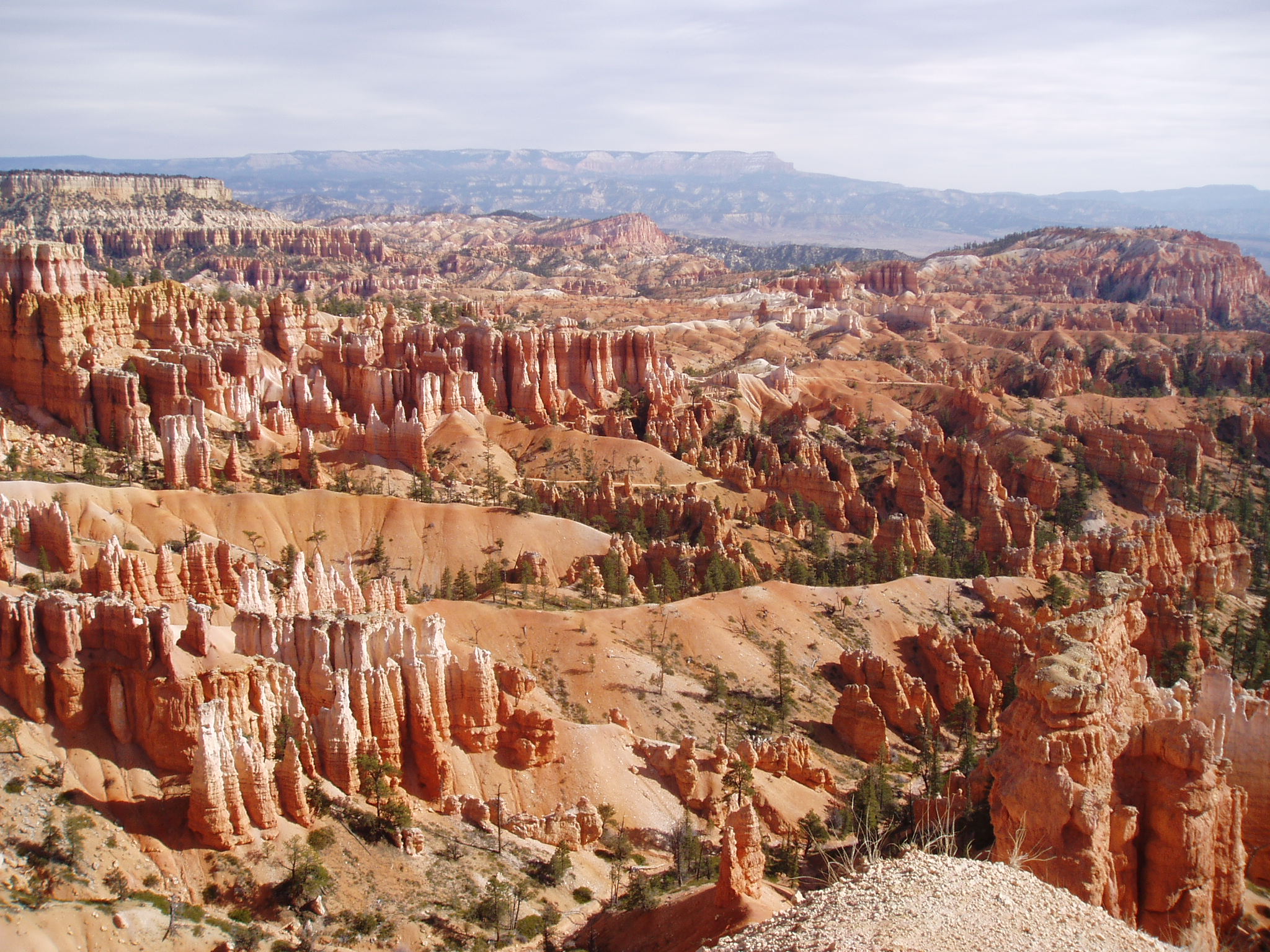 bryce national park screen