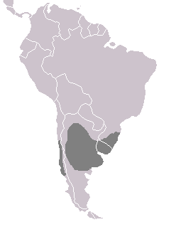 Área de distribución de H. atricapilla