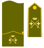 Teniente general