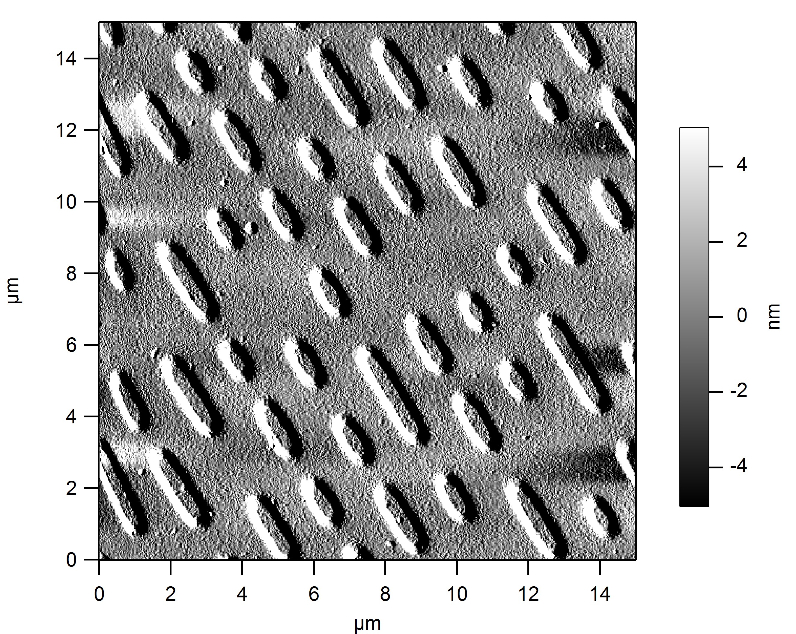 Afm Image