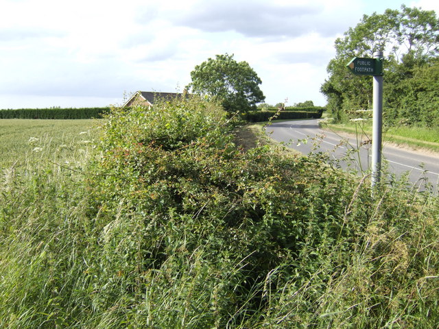 Bend in the road   footpath starts here   geograph.org.uk   473836 - Tinnitus Masking - Could This Be Best for you?