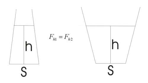 Hydrostatický paradox