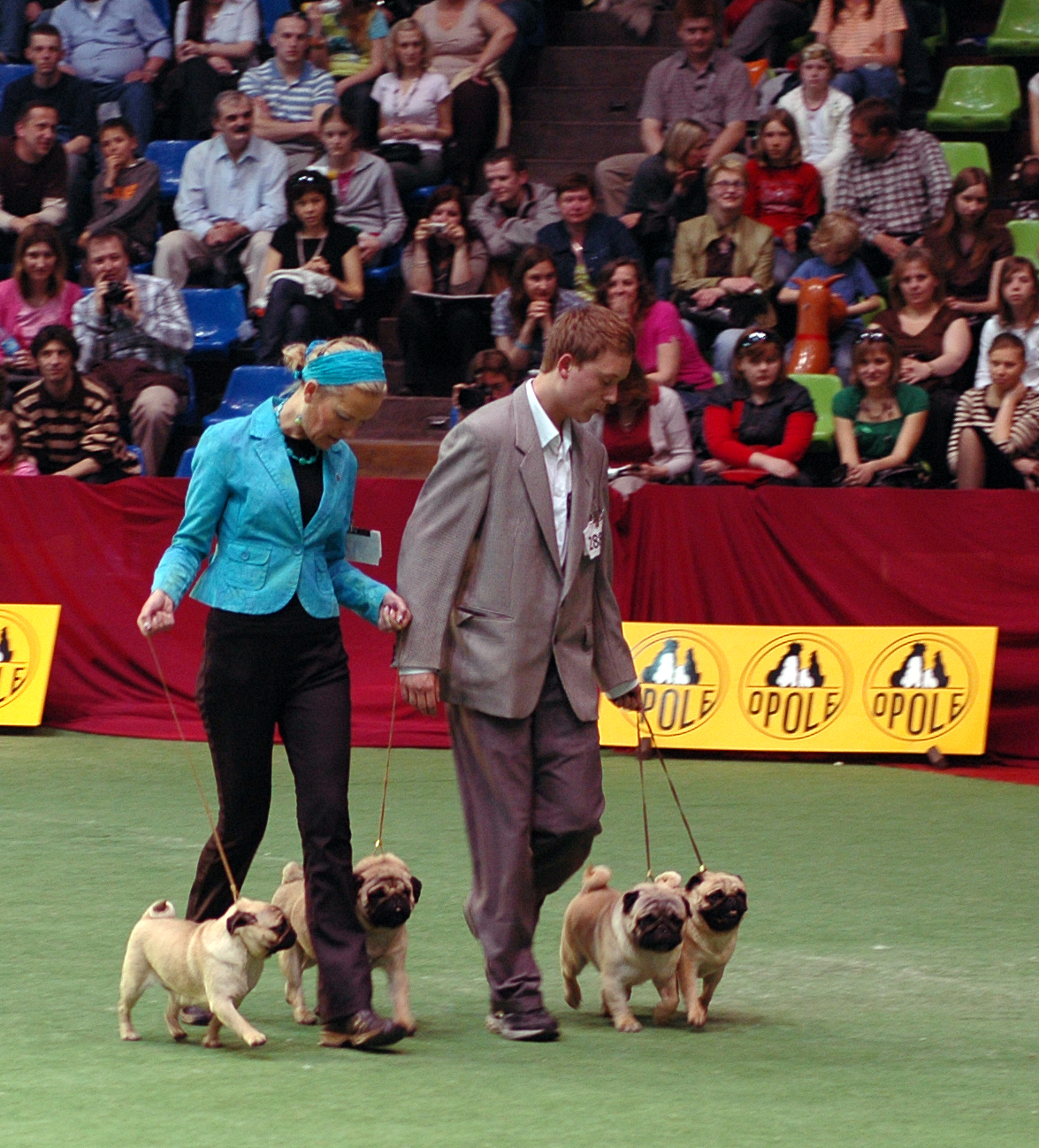 The Dog Show [1934]